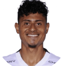 https://img.wb-dazheji.com/img/football/player/203e188cc0ff8a446697b78eeedafe5c.png