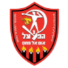 https://img.wb-dazheji.com/img/football/team/0db06bd7ec6e2d578b836885d675b6d1.png