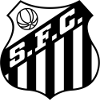 https://img.wb-dazheji.com/img/football/team/674171a5ca8e8fd3a9784bec35afb185.png