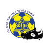 https://img.wb-dazheji.com/img/football/team/687444da1c62a4654239ed1614216575.png