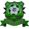 https://img.wb-dazheji.com/img/football/team/74a62b647e358e0531d376af7ab679fd.png