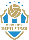 https://img.wb-dazheji.com/img/football/team/eeb438dec6f07e2bb6e4996170cb8744.png